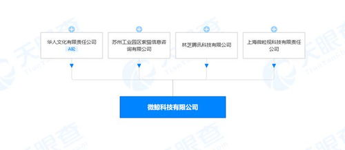 阿里巴巴退股智能電視提供商微鯨科技